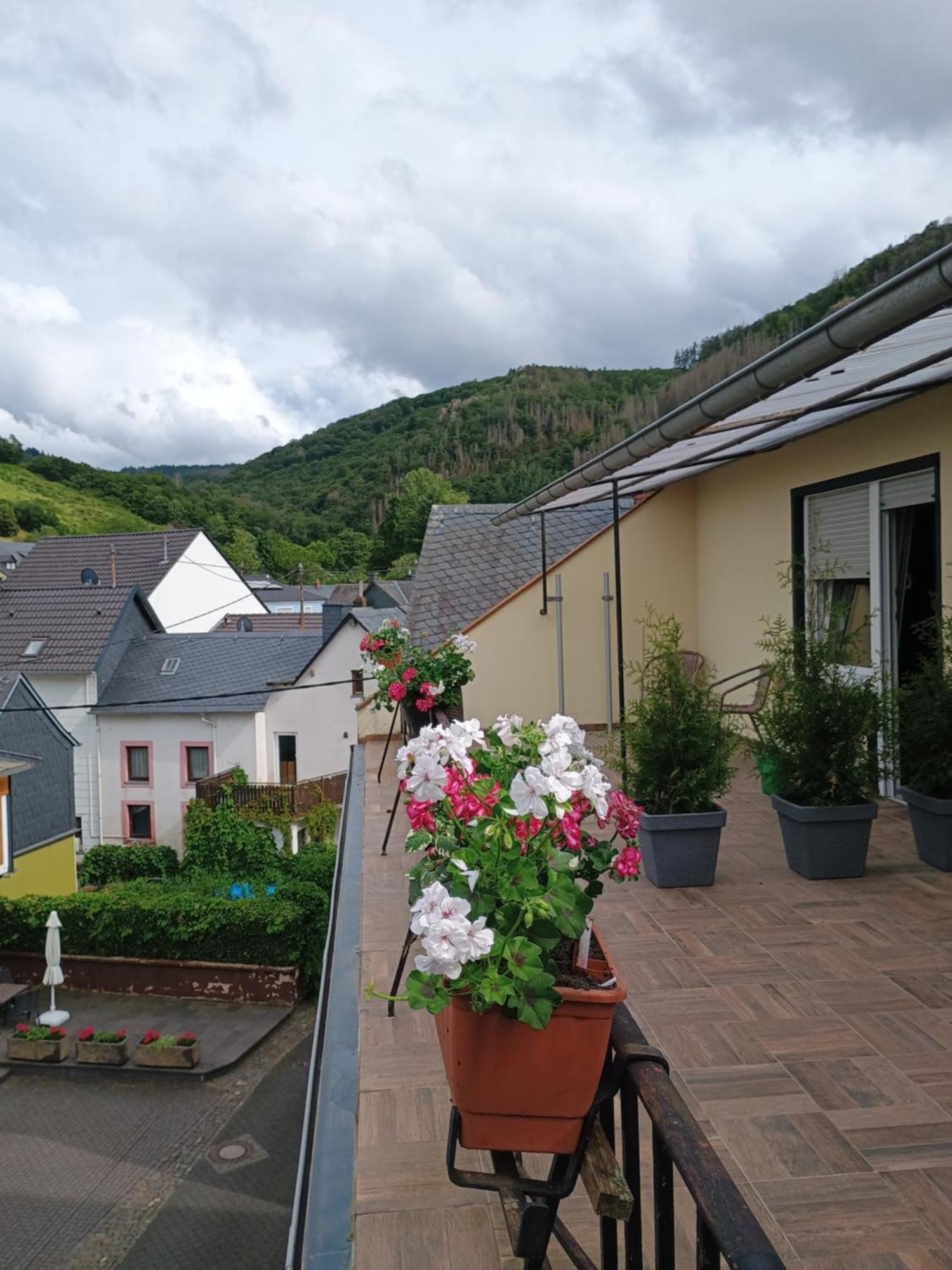 Gasthof Zur Grafschaft Veldenz 외부 사진